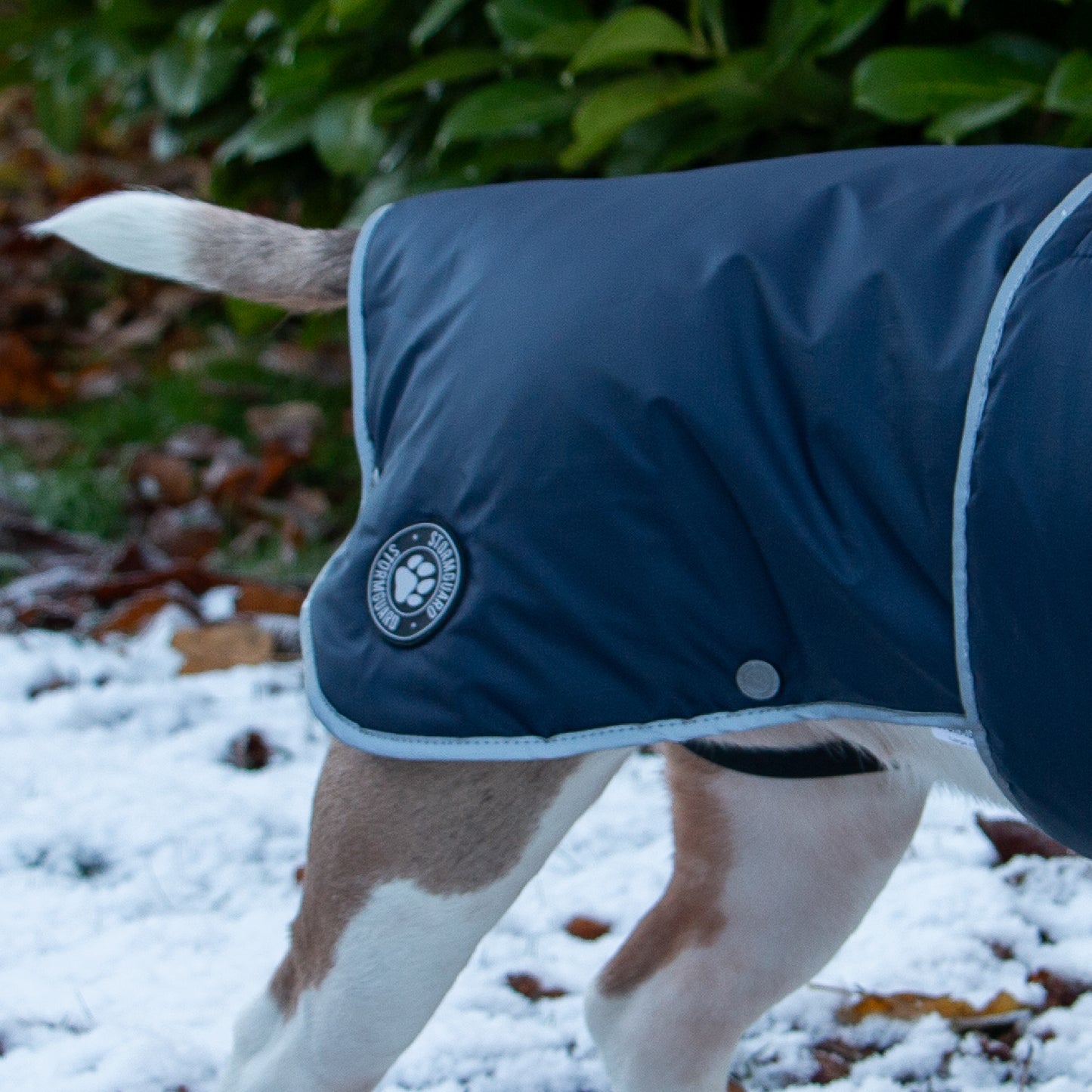 Stormguard Dog Coat