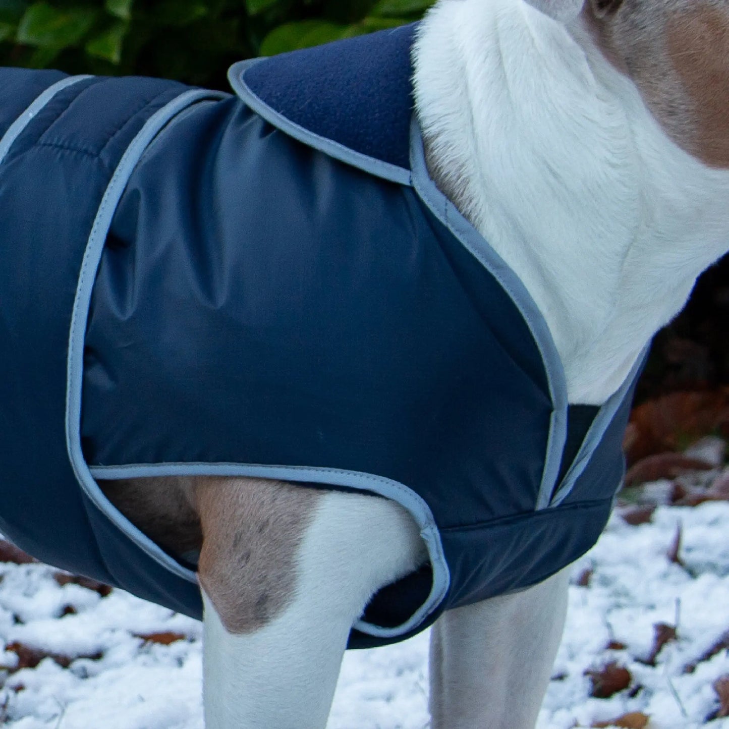 Stormguard Dog Coat Blue Ancol
