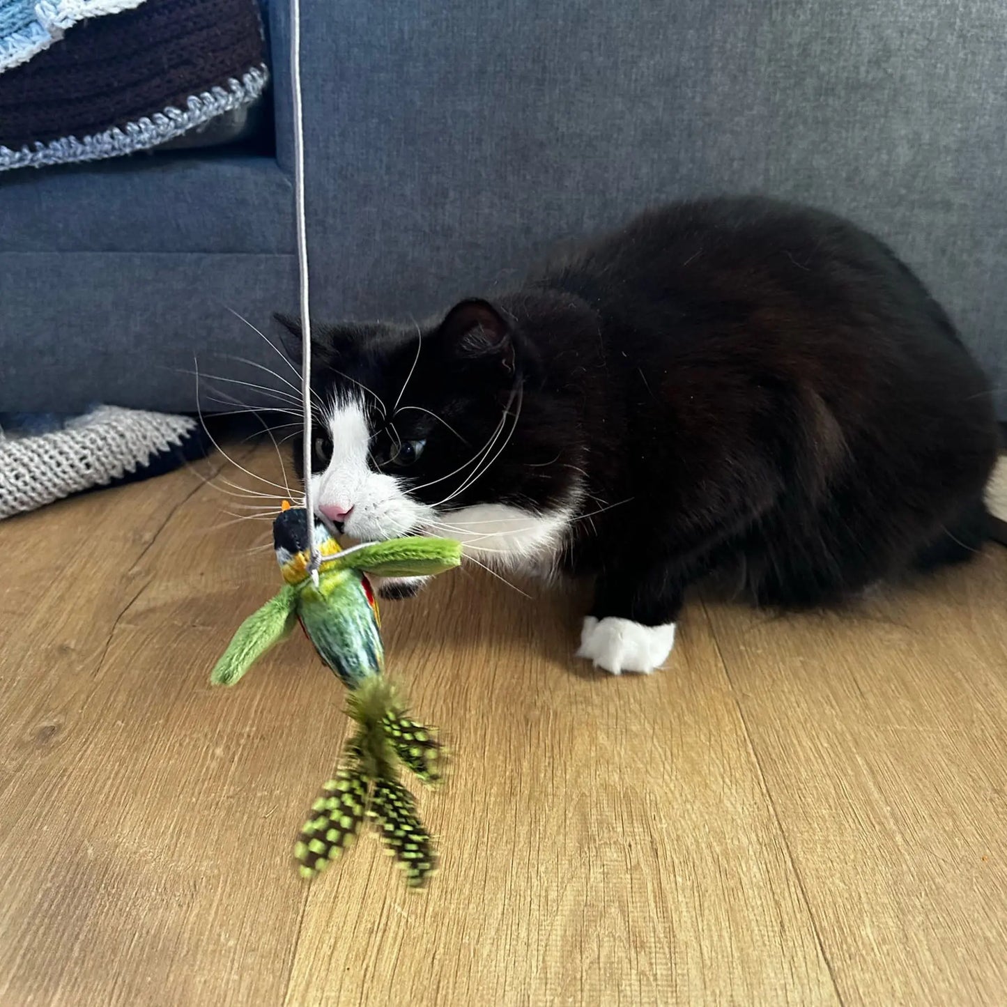 Ancol Heritage Chirping Greenfinch Cat Toy Ancol