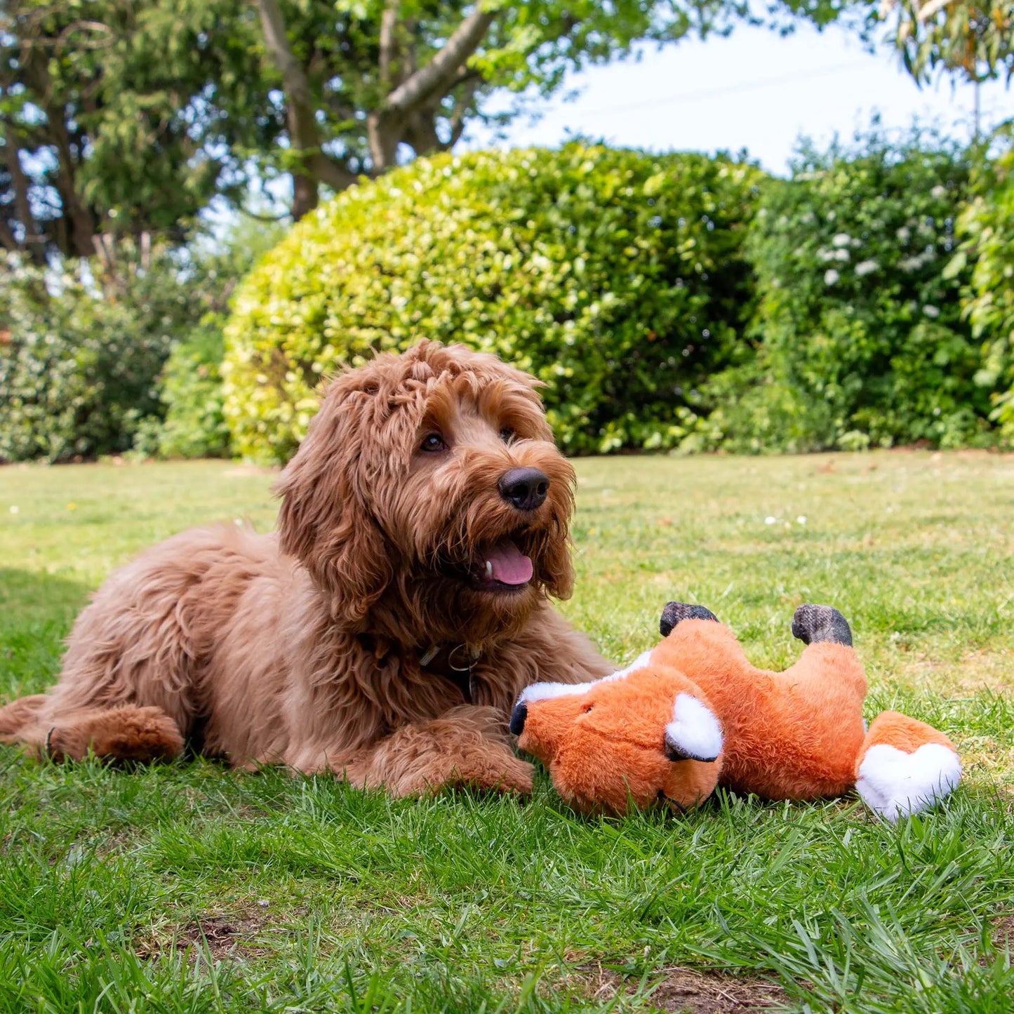 Ancol Heritage Collection Felicity Fox Dog Toy Ancol