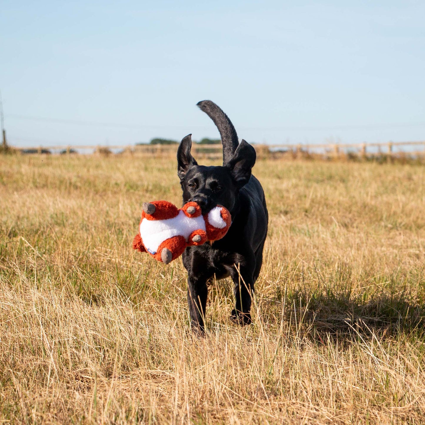 Ancol Heritage Collection Samantha Squirrel Dog Toy