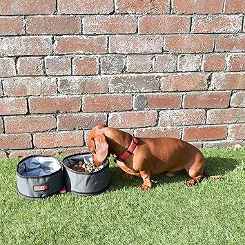 KONG Travel Fold-Up Double Bowl