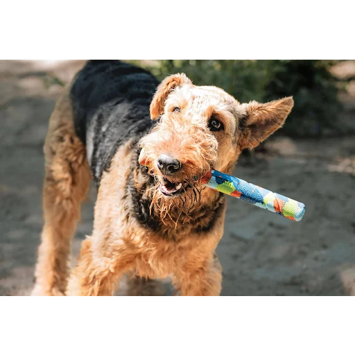 Chuckit! NFD Eco Fetch Day Ultra Stick