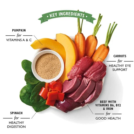 Lilys Kitchen Beef Goulash for Dogs Can - 400g