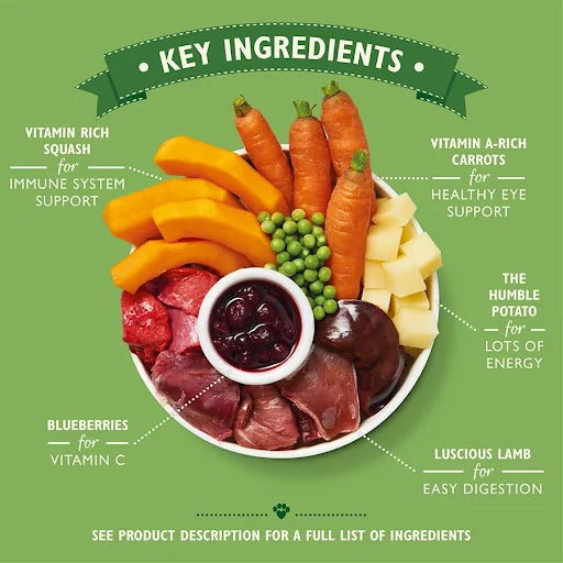 Lilys Kitchen Dog Tray Lamb Hotpot West Tray - 150g