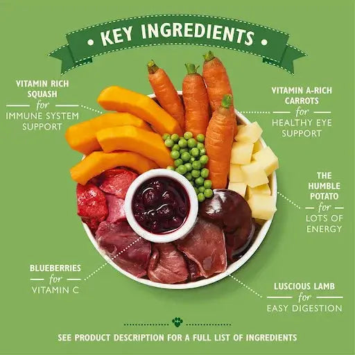 Lilys Kitchen Dog Tray Lamb Hotpot West Tray - 150g Su-bridge
