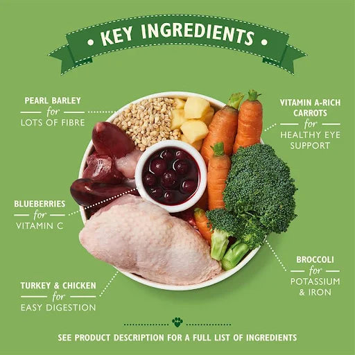 Lilys Kitchen Chicken and Turkey Casserole for Dogs Can - 400g