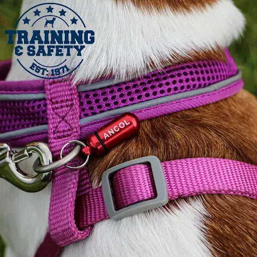 Aluminium Dog ID Tube Ancol