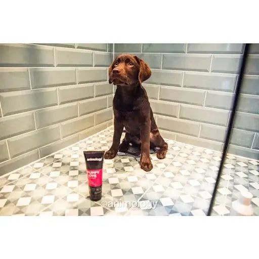 Animology Puppy Love Shampoo 250ml Pedigree