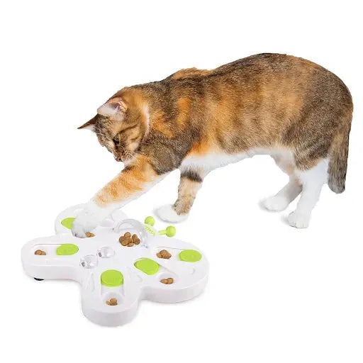 All For Paws Treat Puzzle Butterfly Pedigree