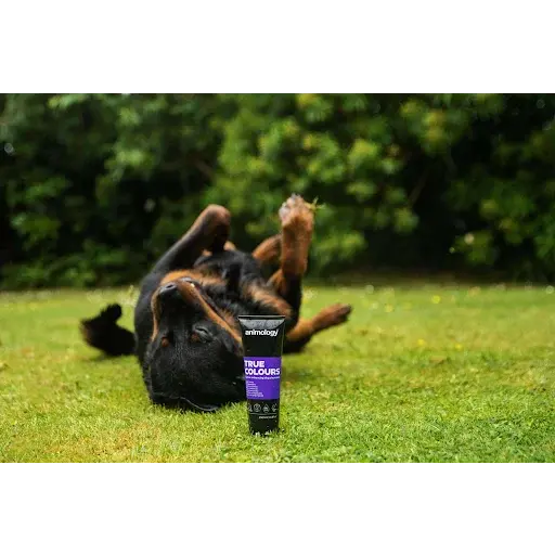 Animology True Colours Shampoo 250ml Pedigree