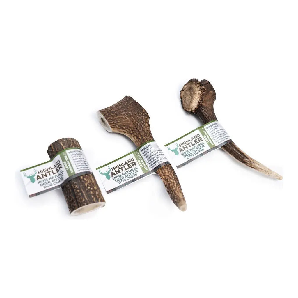 Antler Split Large (Min 80g) Nova