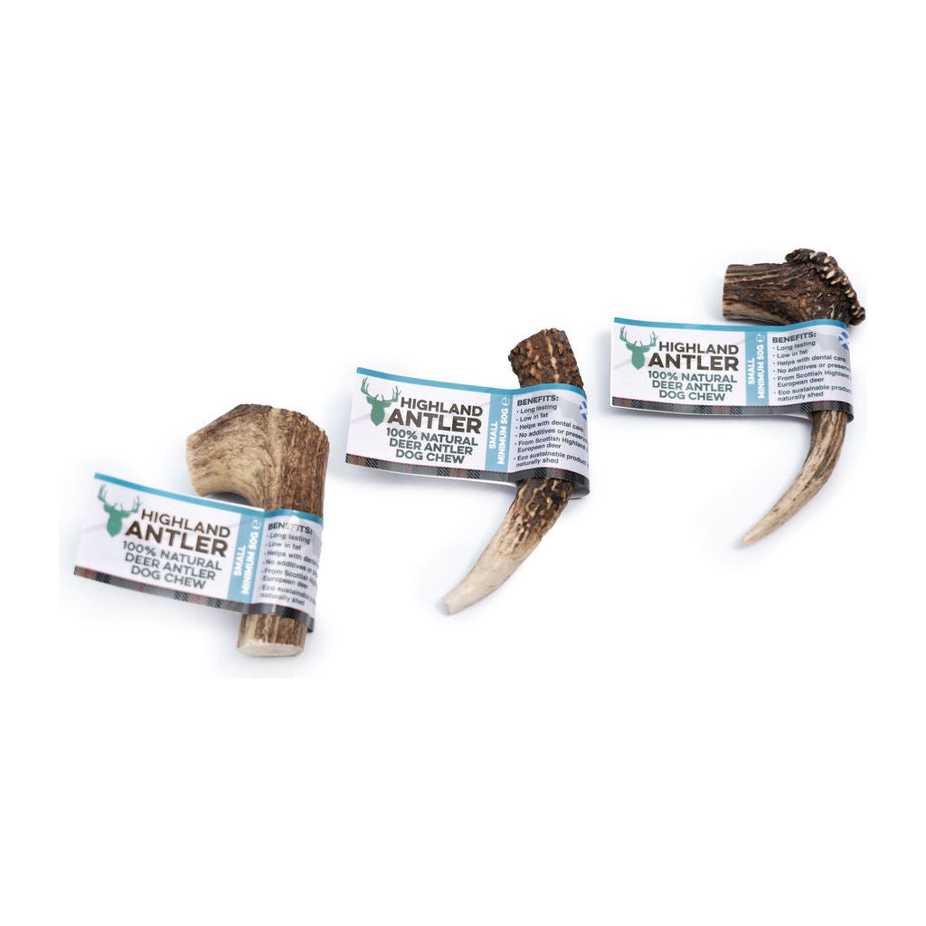 Nova Highland Antler Chew for Dogs – Natural Durable Chewing Treats in Various Sizes