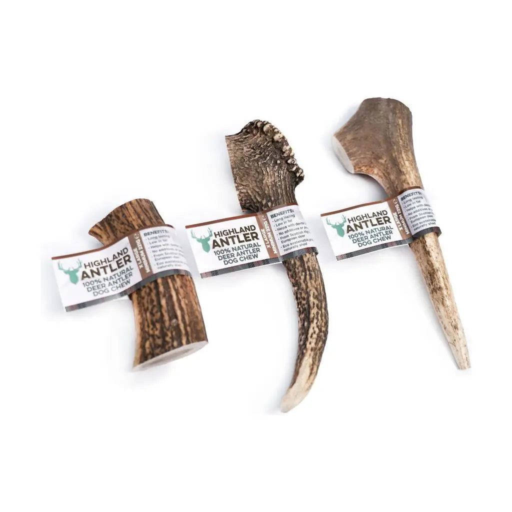 Nova Highland Antler Chew for Dogs – Natural Durable Chewing Treats in Various Sizes Nova