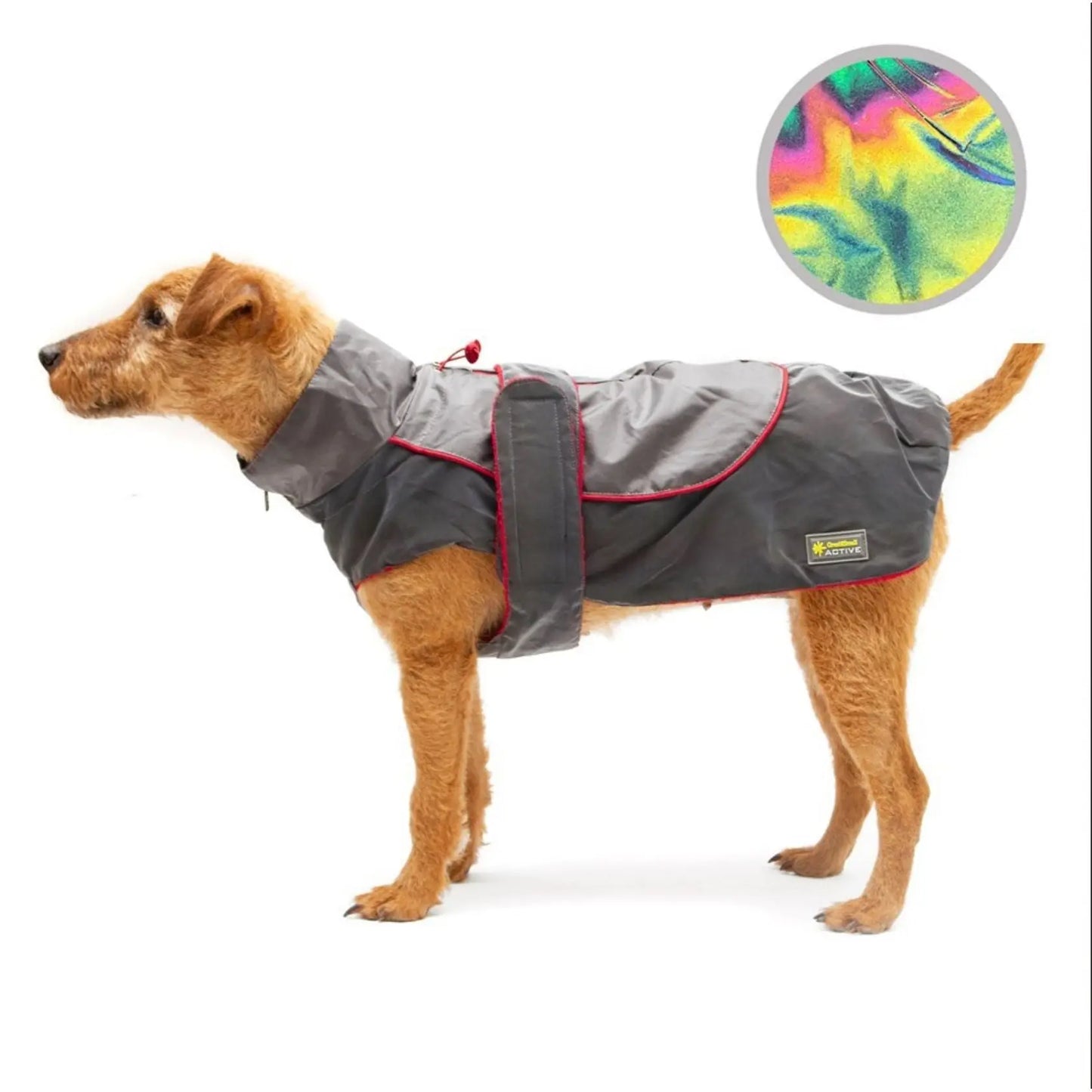 Great And Small Active Hi-Visibility Reflective Coat Red Outline Rainbow Refelction Great & Small