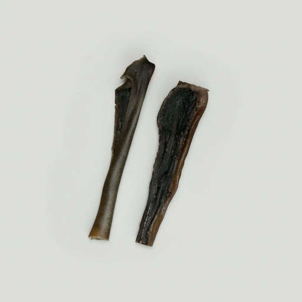Camel Skin Roll Origin Pets Longton
