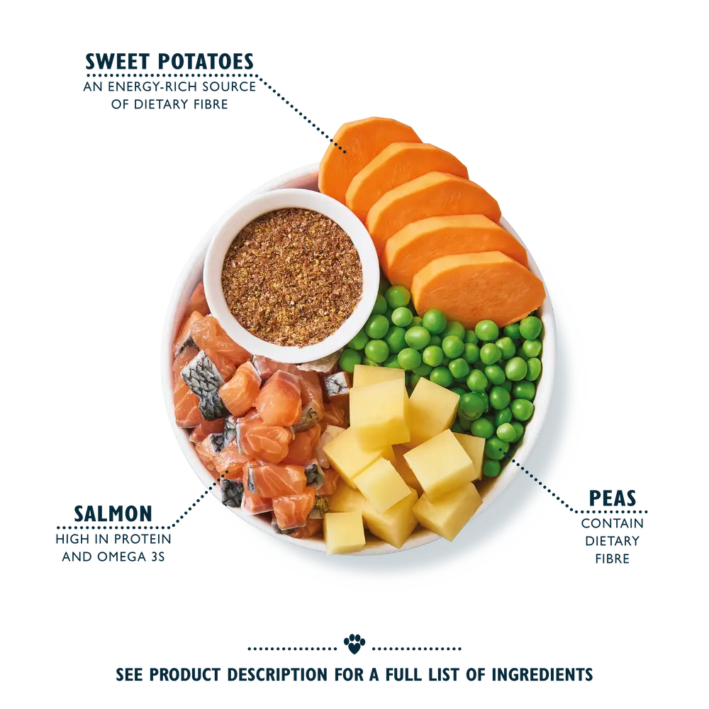 Lily’s Kitchen Salmon Supper 2.5kg Origin Pets Longton