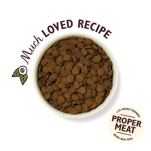 Lily's Kitchen Shedherd's Pie Dog Food - 2.5kg Lily's Kitchen