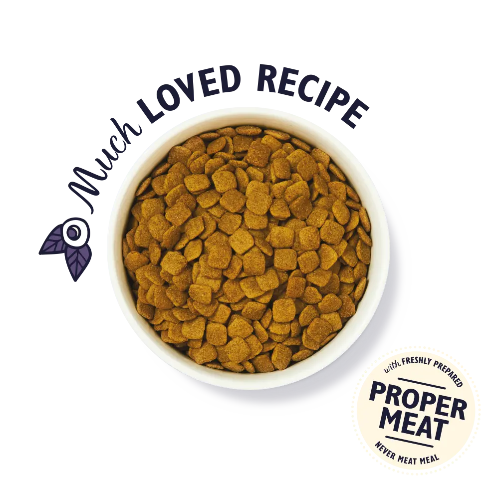 Lily’s Kitchen Senior Recipe - with Turkey, Trout and Seasonal White Fish Dog Food - 2.5kg Lily's Kitchen