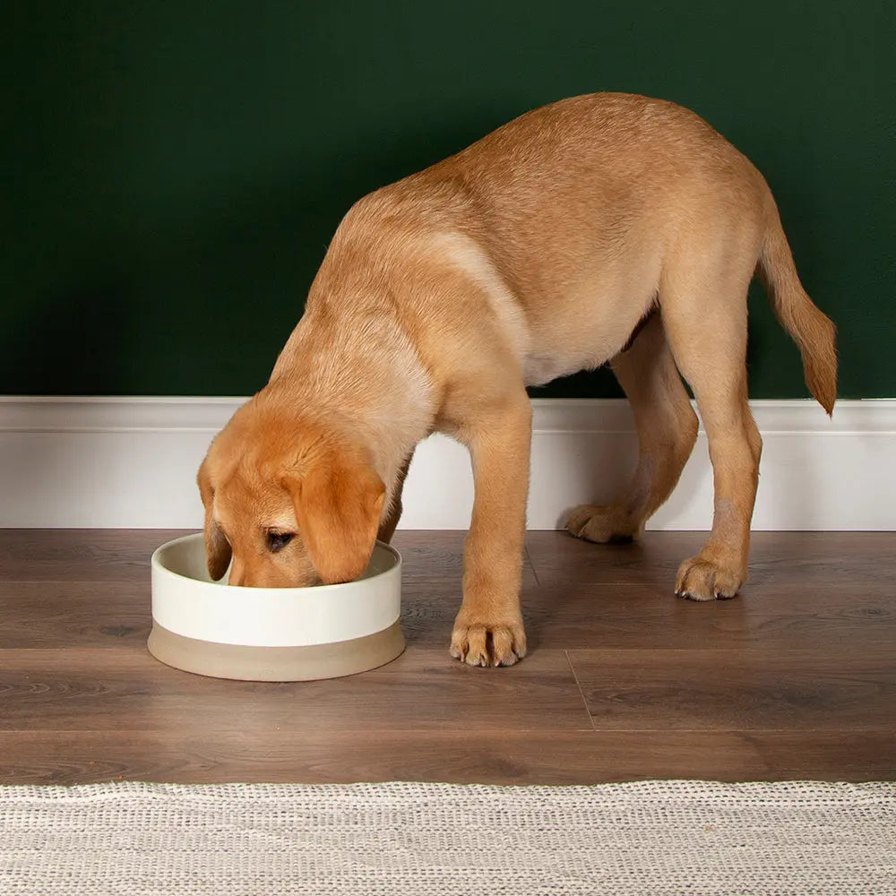 Scruffs Scandi Non Tip Bowl - 20cm and 14cm Pedigree