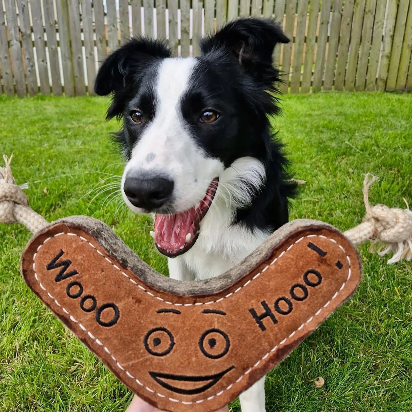 Green & Wild's Benny the Boomerang Dog Toy Green & Wild's