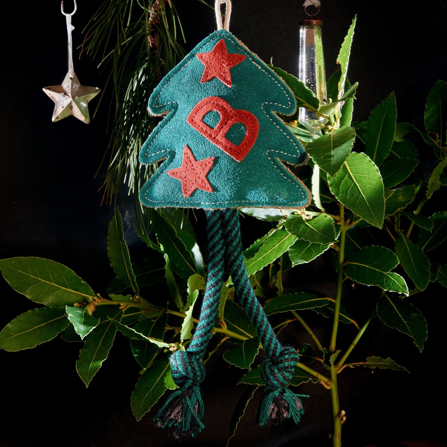 Green & Wild's Bruce the Spruce Dog Toy