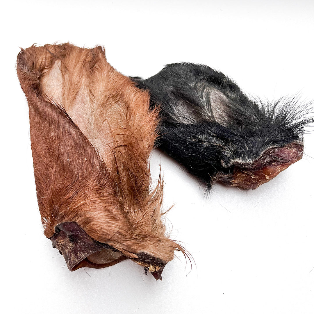 Cow Ear With Hair