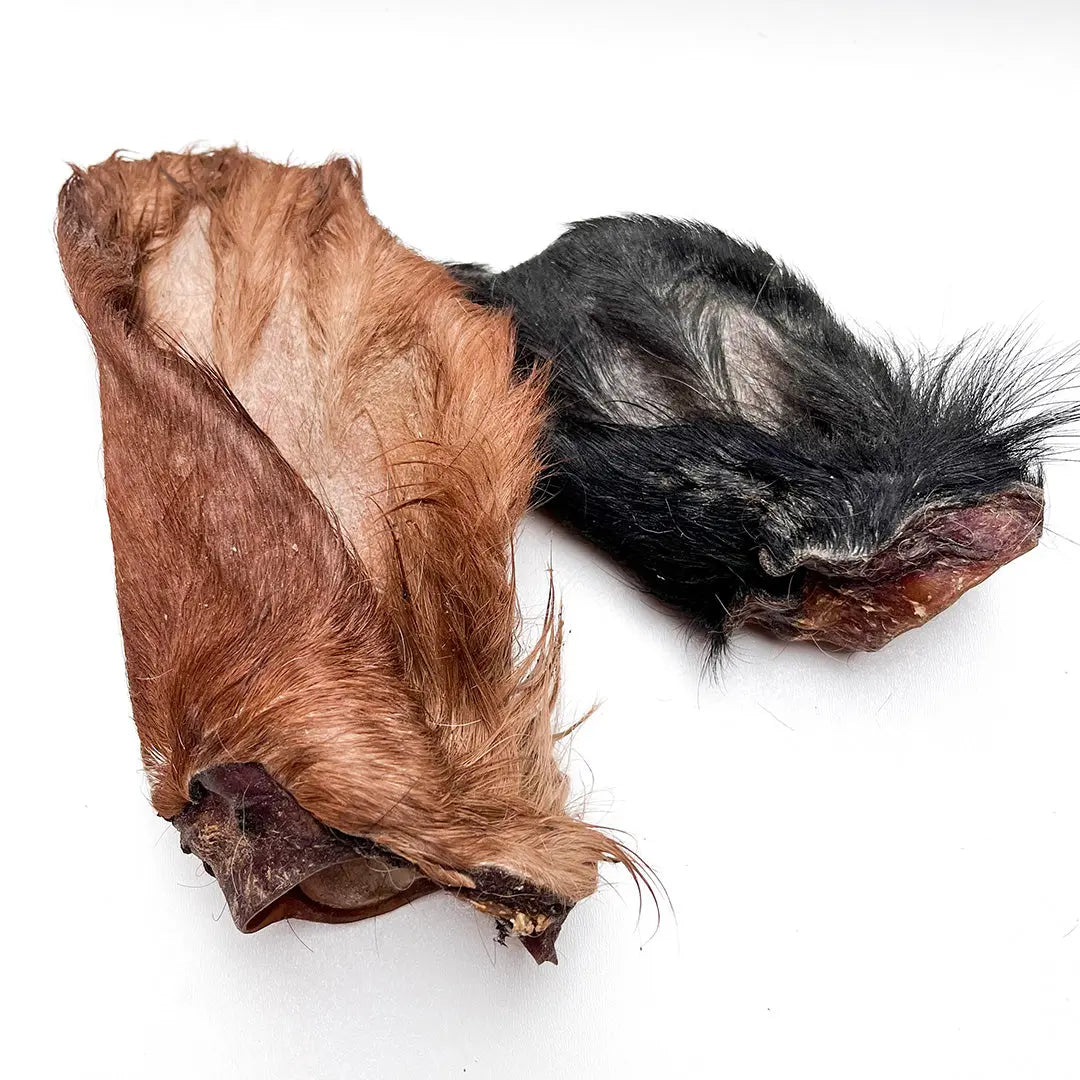 Cow Ear With Hair Origin Pets Longton