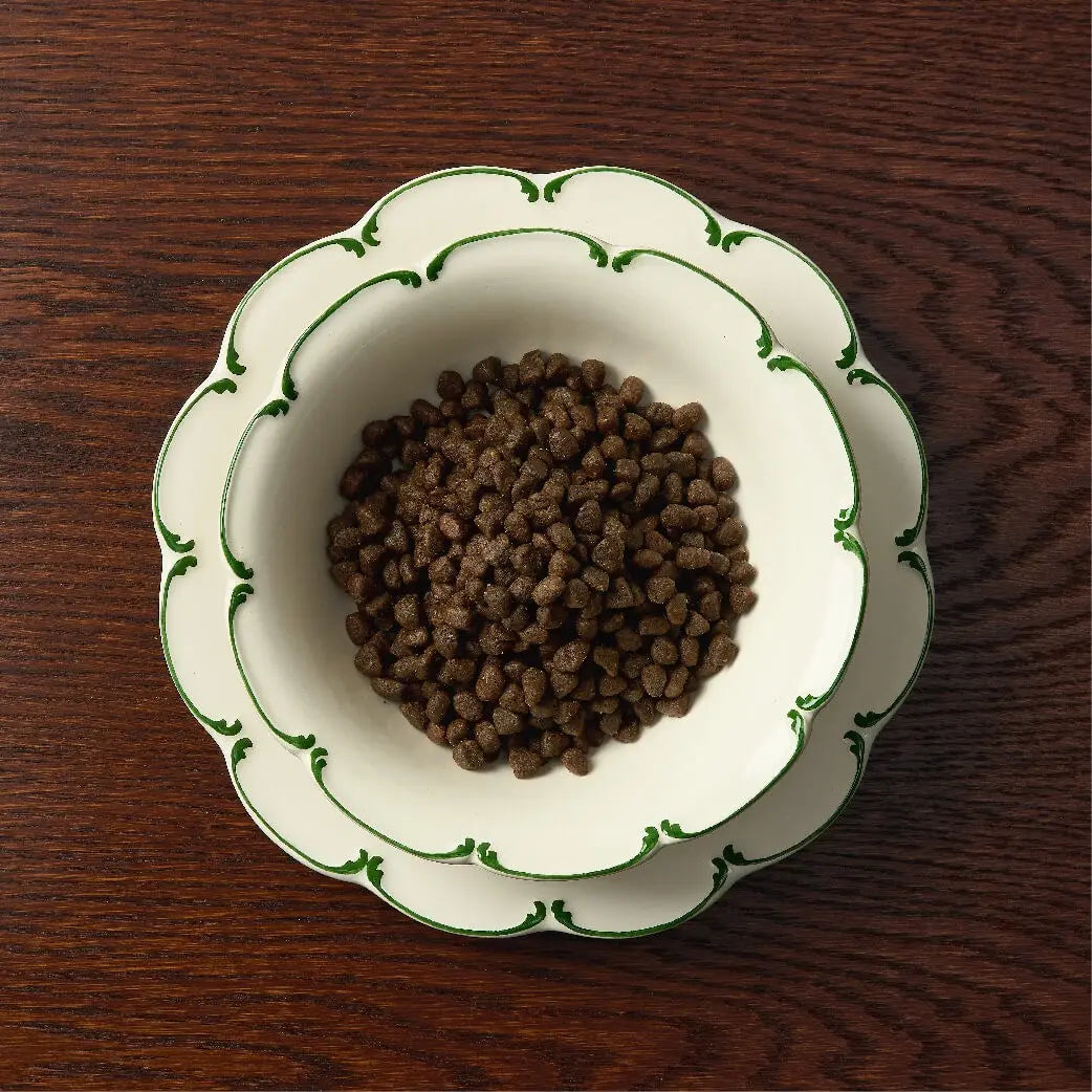 Canagan Petite Free Range Chicken and Duck Dog Food for Small Dogs Canagan