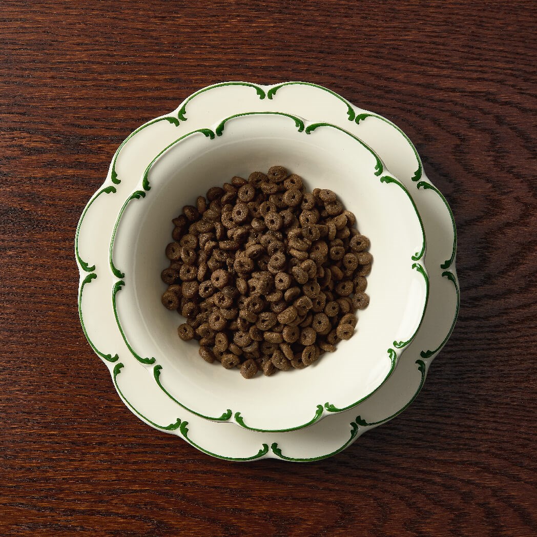 Canagan Petite Free Range Chicken and Scottish Salmon Dog Food for Small Dogs