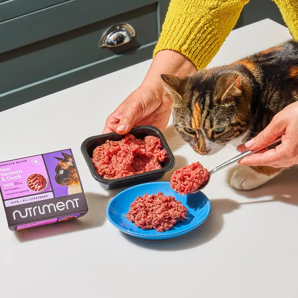 Nutriment Raw Cat Food - Rabbit And Turkey Dinner 175g Nutriment