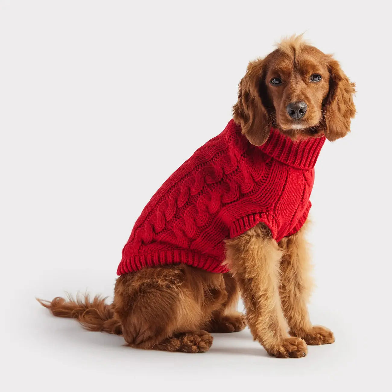 GF Pet Chalet Sweater Pedigree