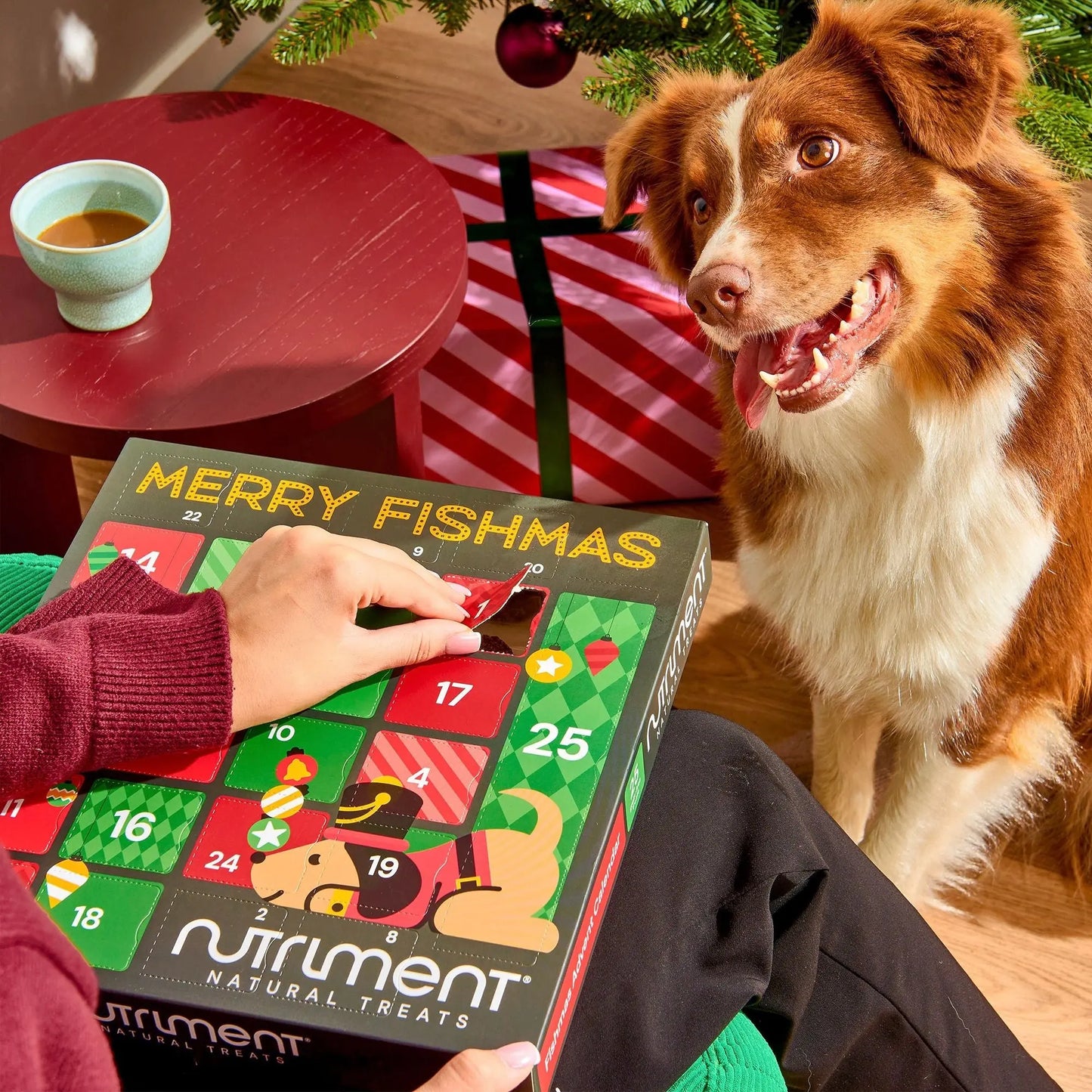 Nutriment Merry Fishmas Advent Calendars 2025 Nutriment