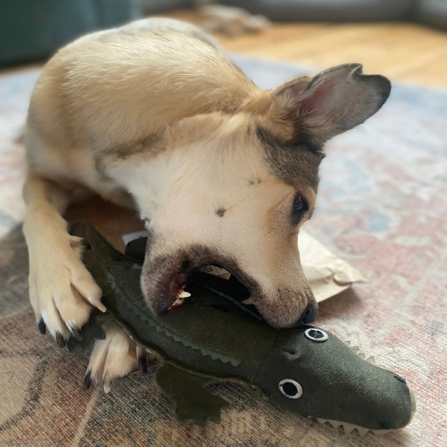 Green & Wild's Colin The Crocidile Dog Toy Green & Wild's