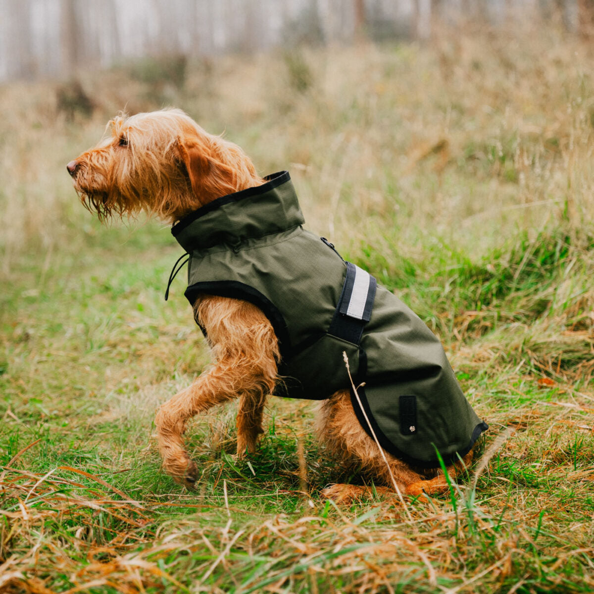 Danish Designs 3-in-1 Dog Coat
