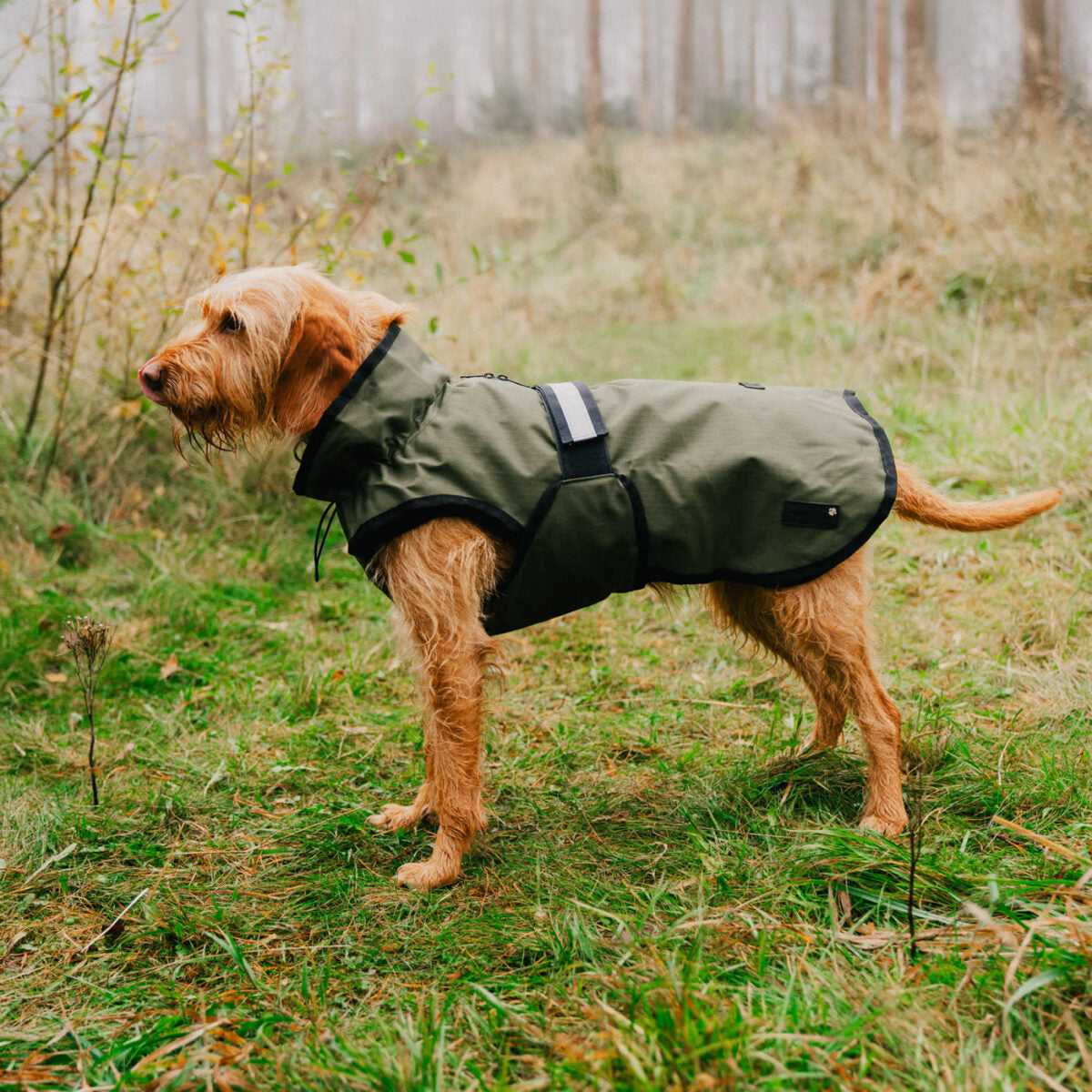 Danish Designs 3-in-1 Dog Coat