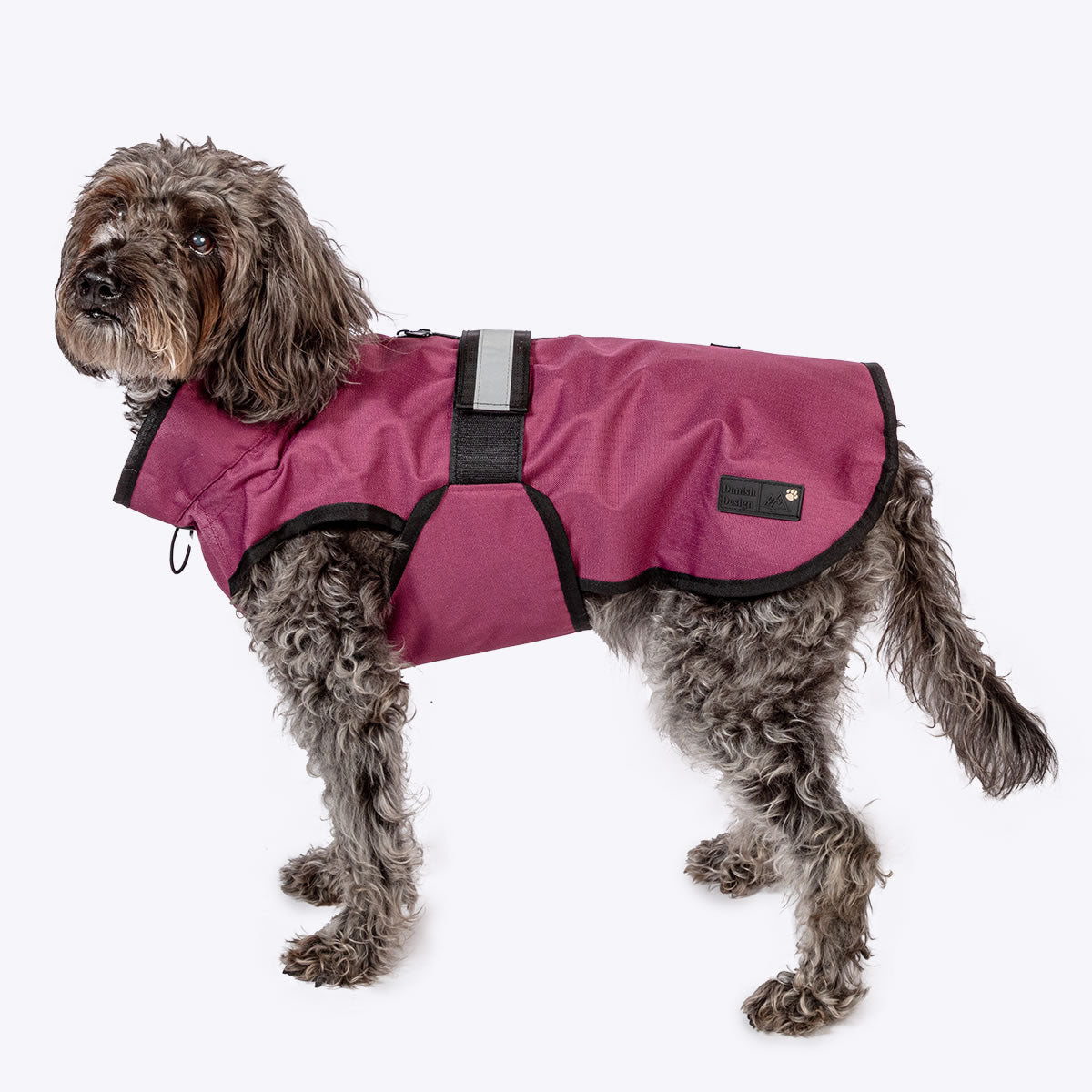 Danish Designs 3-in-1 Dog Coat