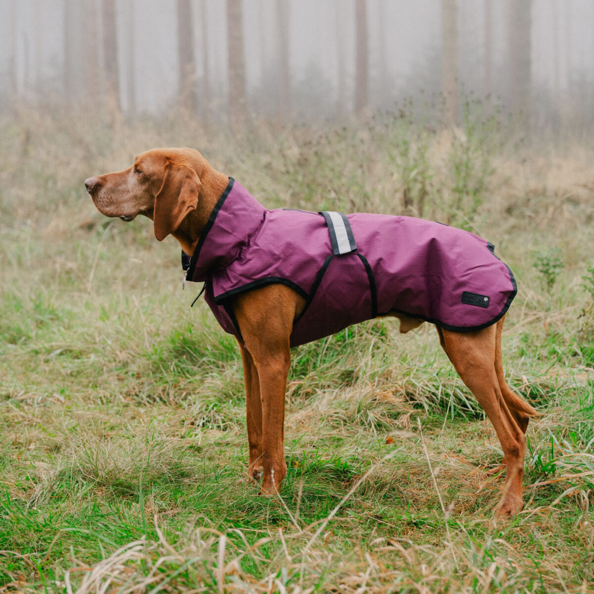 Danish Designs 3-in-1 Dog Coat