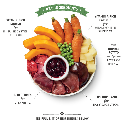 Lilys Kitchen Slow Cooked Lamb Hotpot for Dogs Can - 400g