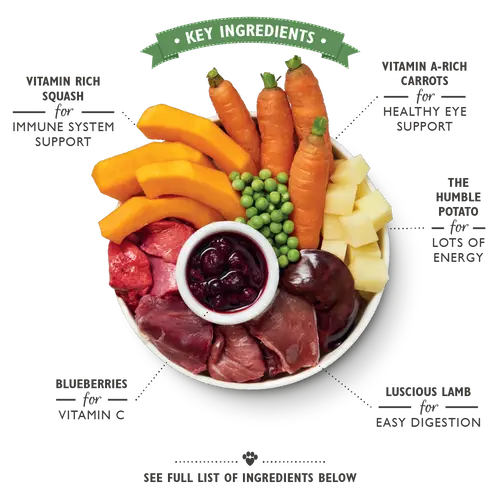 Lilys Kitchen Slow Cooked Lamb Hotpot for Dogs Can - 400g Pedigree