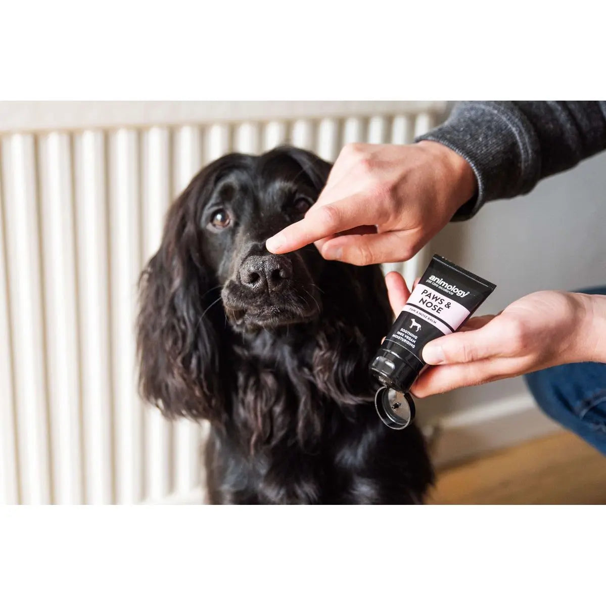 Animology Paws & Nose Balm 50ml Su-bridge