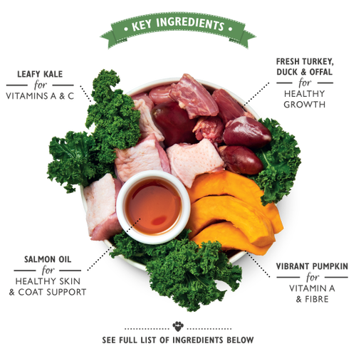 Lilys Kitchen Puppy Recipe Turkey Duck and Kale Wet Tray - 150g