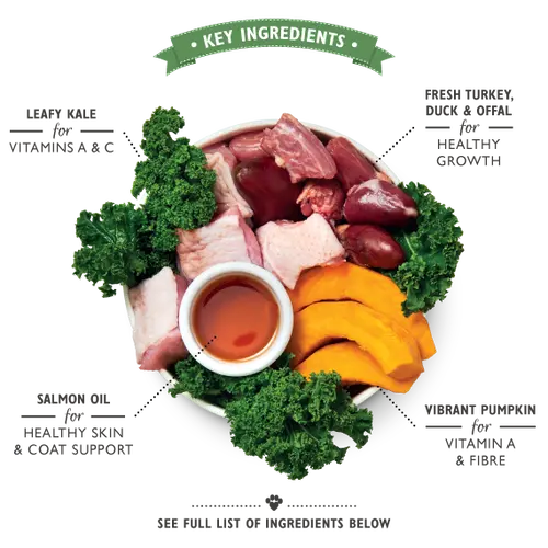 Lilys Kitchen Puppy Recipe Turkey Duck and Kale Wet Tray - 150g Pedigree