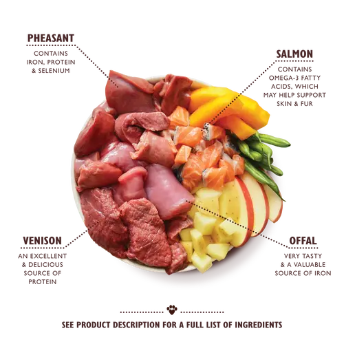 Lilys Kitchen Wild Campfire Stew for Dogs Can - 400g Pedigree
