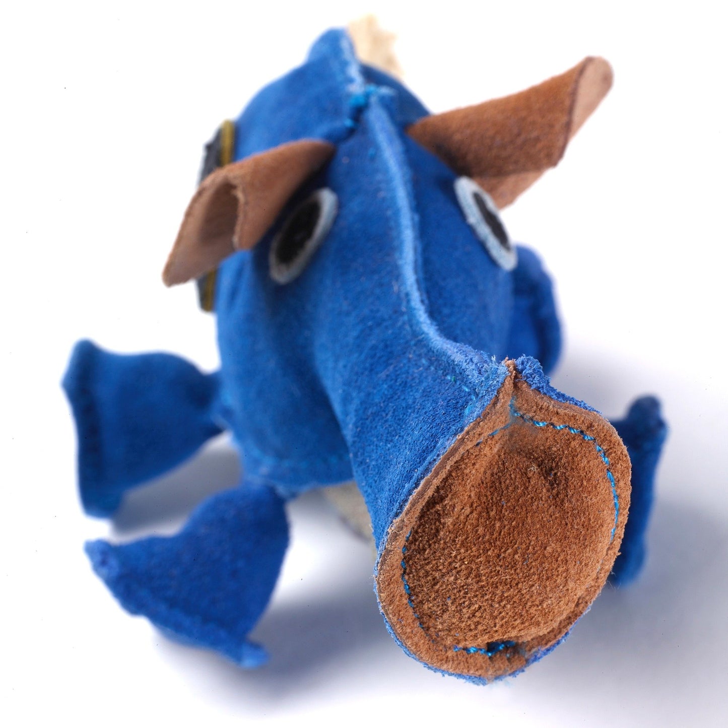 Dino the Dyno Fish, Eco Dog Toy
