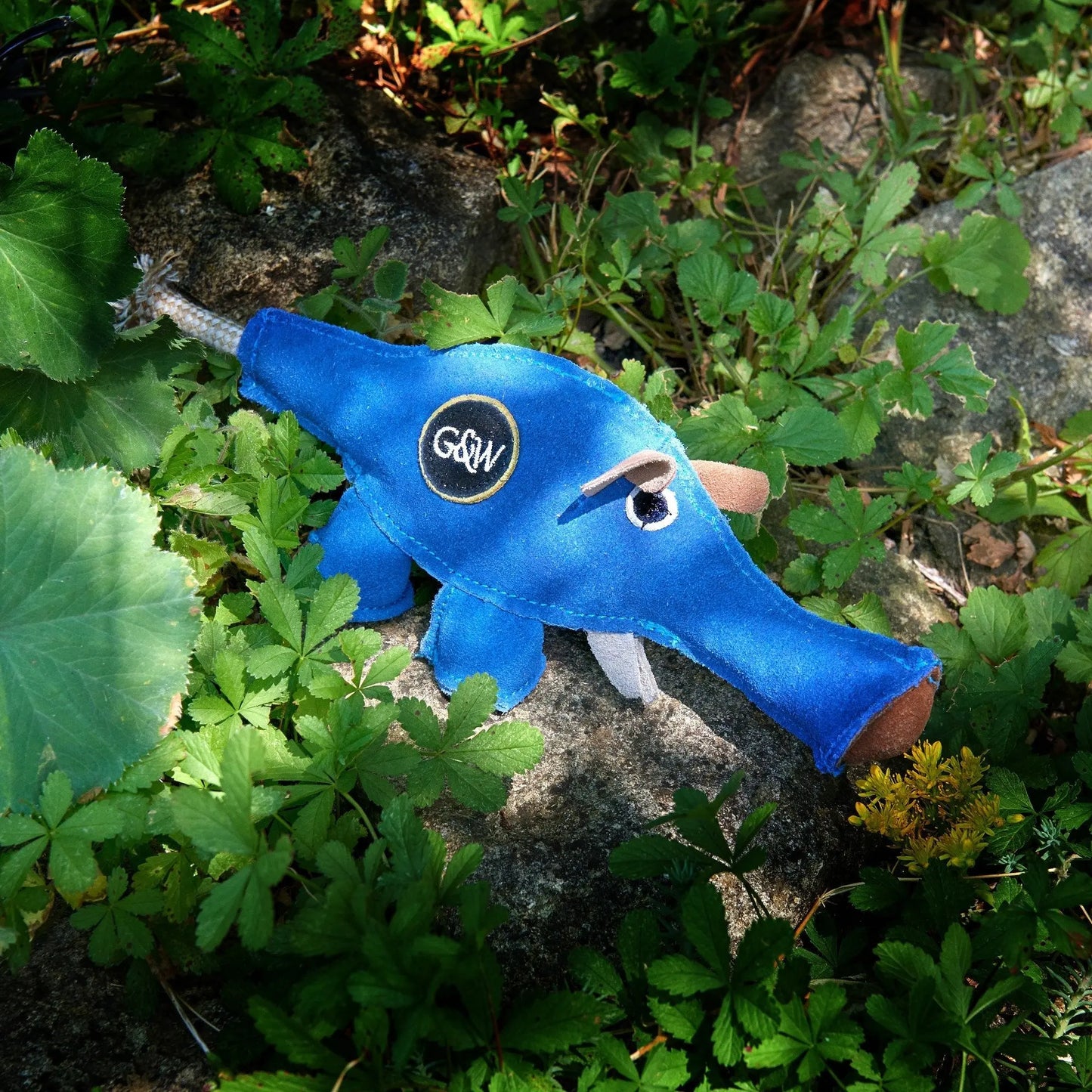 Dino the Dyno Fish, Eco Dog Toy Green & Wild's