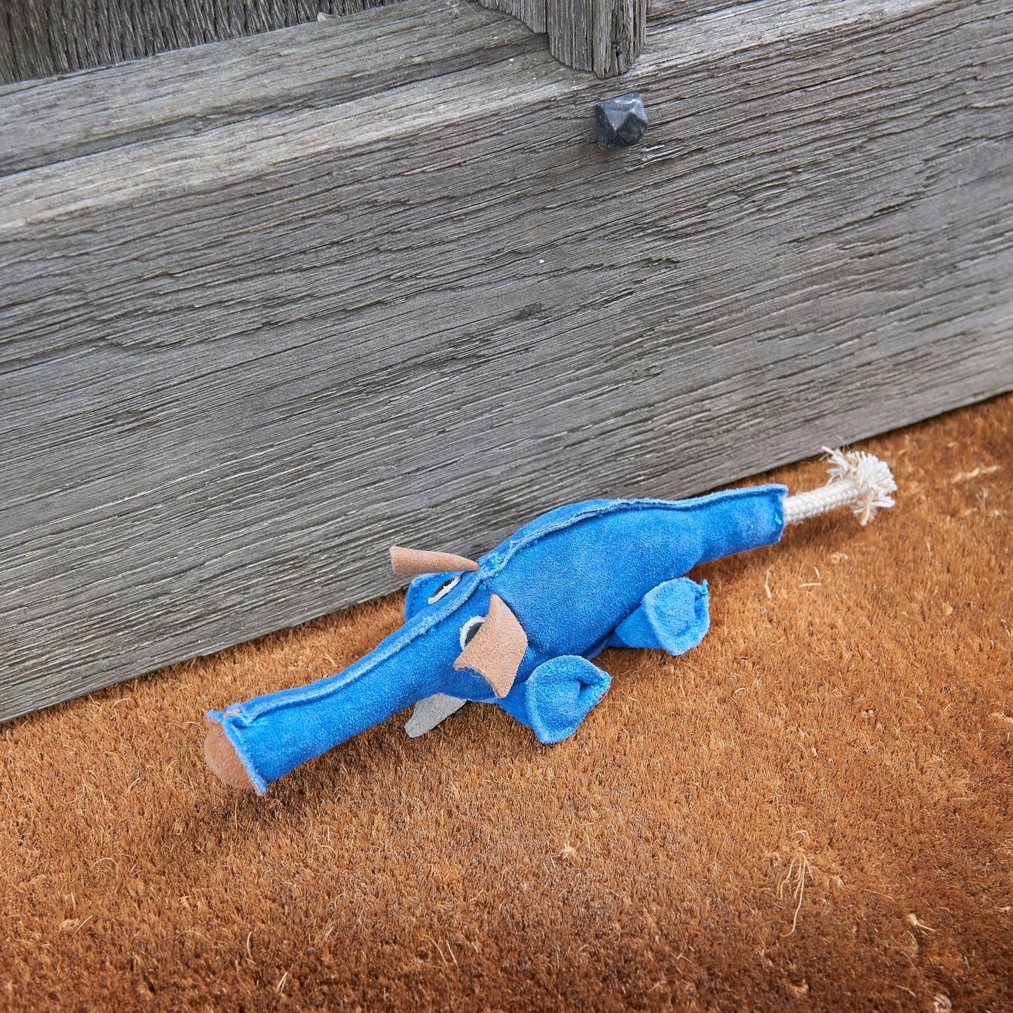 Dino the Dyno Fish, Eco Dog Toy