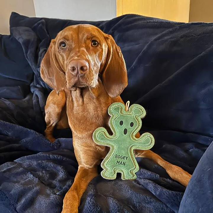 Green & Wild's Bogeyman, Eco Dog Toy