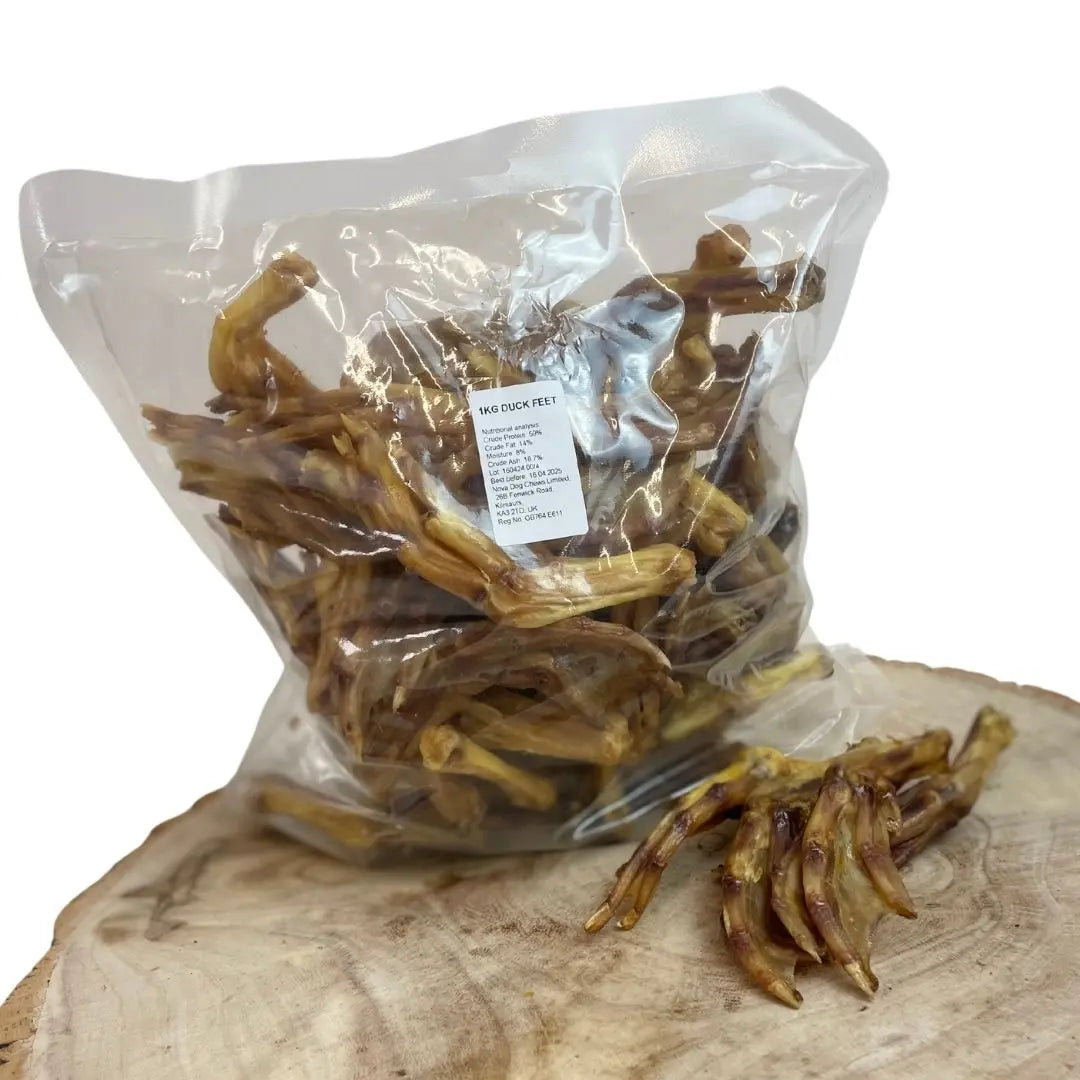 Duck Feet Origin Pets Longton