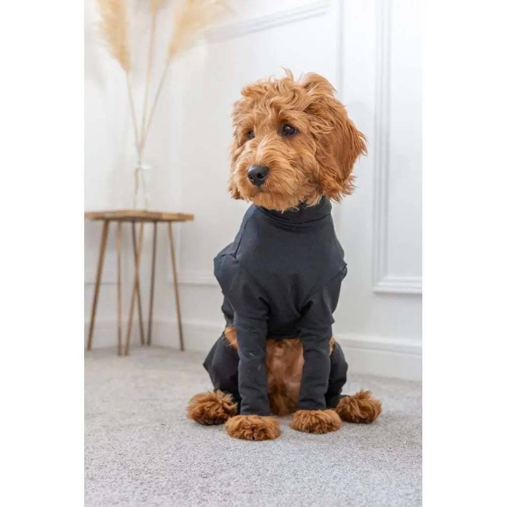 Equafleece Summer Suit 24 Black Hotterdog